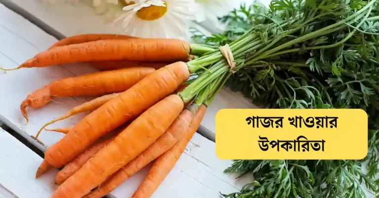 গাজর খাওয়ার উপকারিতা