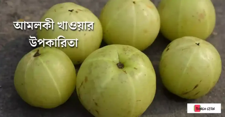 আমলকী খাওয়ার উপকারিতা