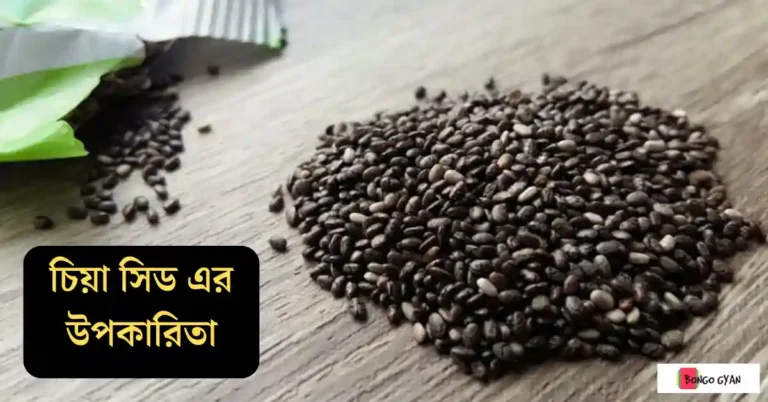 চিয়া সিড এর উপকারিতা