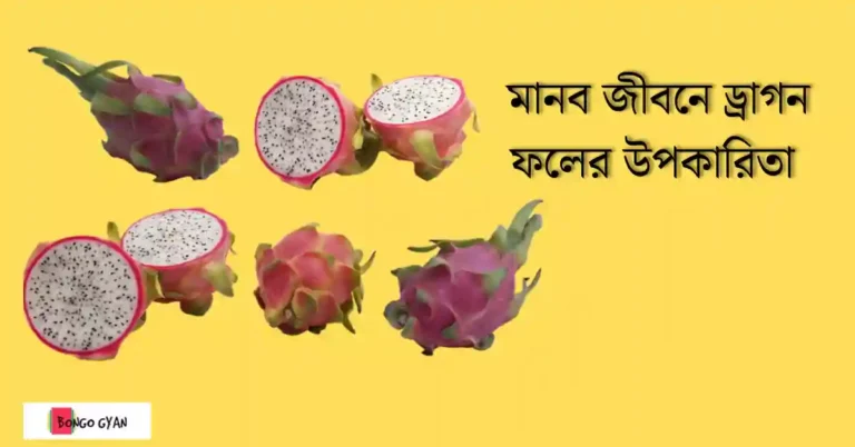 ড্রাগন ফলের উপকারিতা