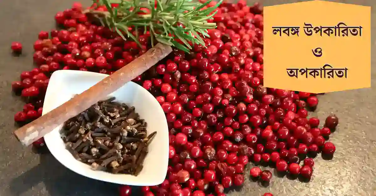 লবঙ্গের উপকারিতা