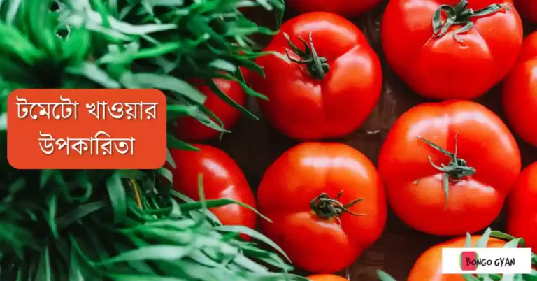 টমেটো খাওয়ার উপকারিতা