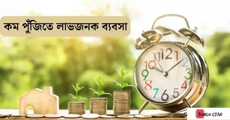 কম পুঁজিতে লাভজনক ব্যবসা