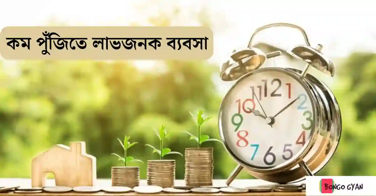 কম পুঁজিতে লাভজনক ব্যবসা