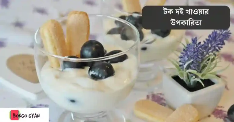 টক দই খাওয়ার উপকারিতা