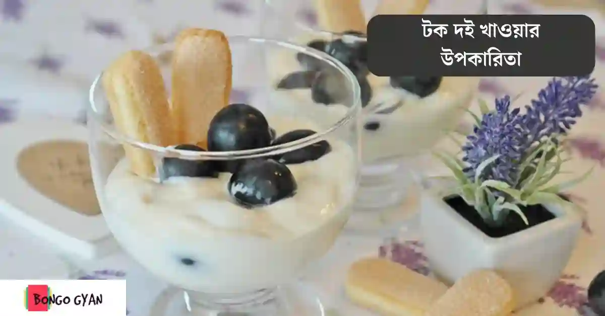 টক দই খাওয়ার উপকারিতা