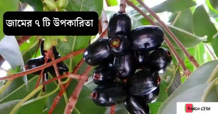 জামের উপকারিতা
