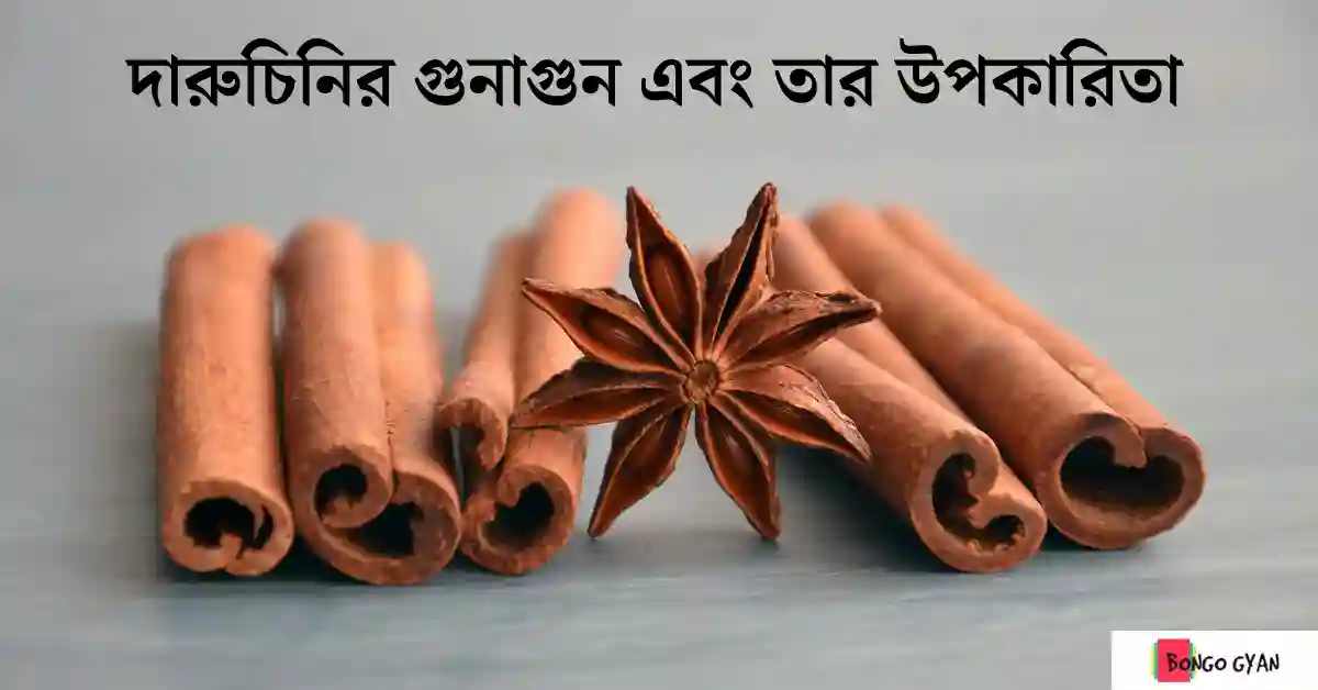 দারুচিনির উপকারিতা