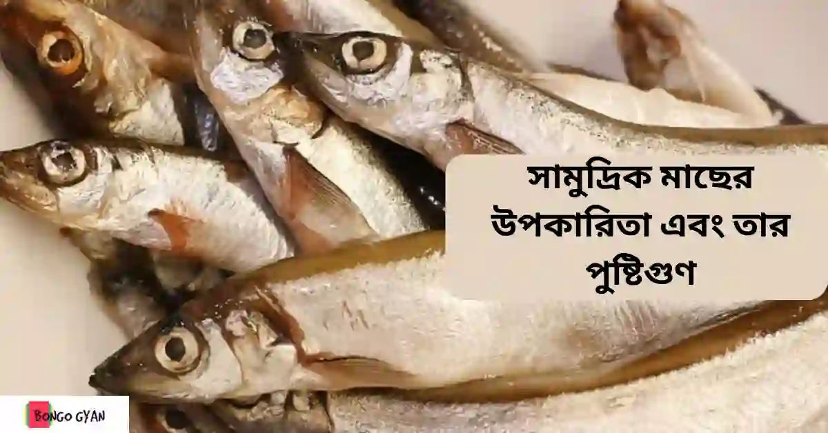 সামুদ্রিক মাছের উপকারিতা