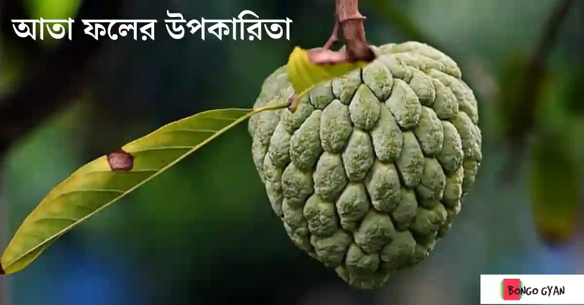 আতা ফলের উপকারিতা