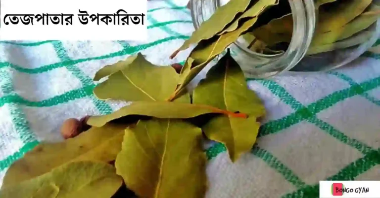 তেজপাতার উপকারিতা