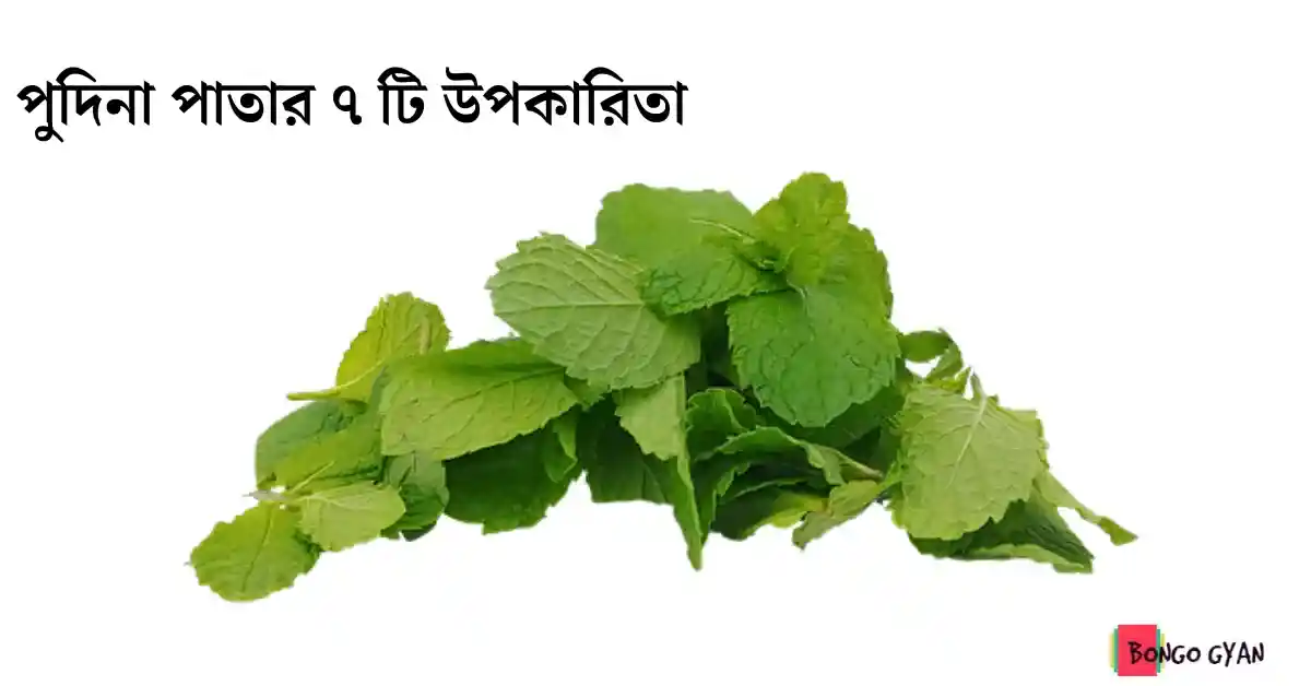 পুদিনা পাতার উপকারিতা