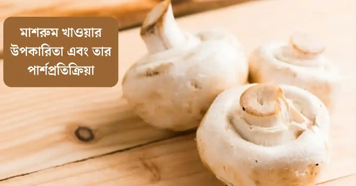 মাশরুম খাওয়ার উপকারিতা