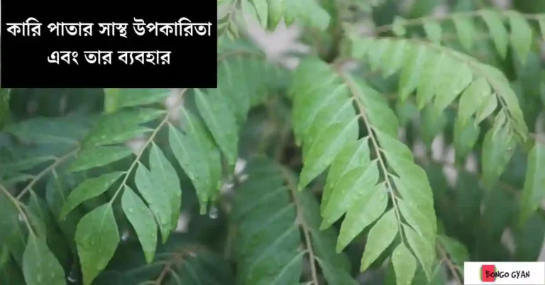 কারি পাতার উপকারিতা