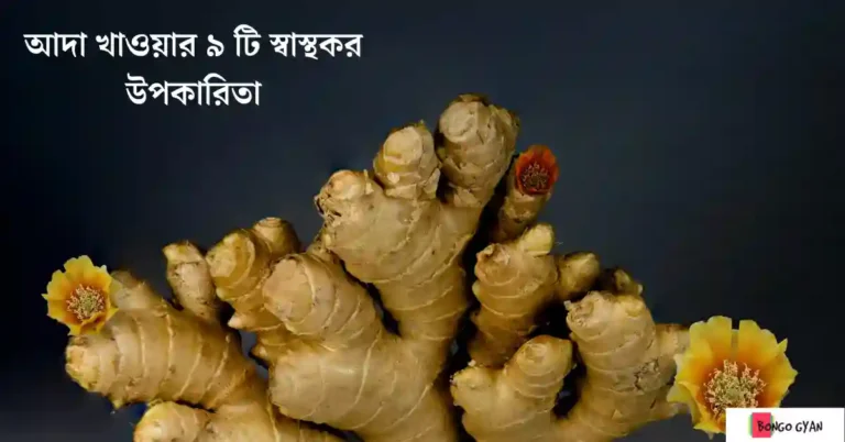 আদা খাওয়ার উপকারিতা
